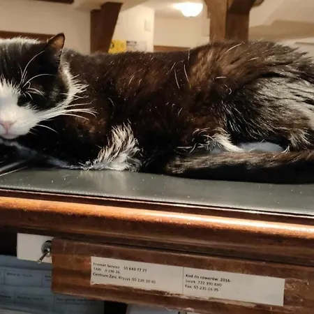 Hotel Mlyn Aqua Biblioteka Elblag