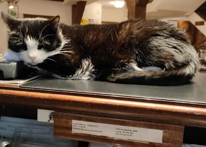 Hotel Młyn Aqua Biblioteka Elbląg